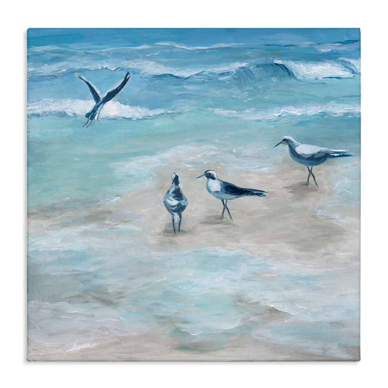 Stupell Industries Coastal Seagulls on Beach Canvas By Marilyn Dunlap
